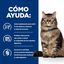3 kg Hill's Prescription Diet Gastrointestinal Biome Pollo pienso para gatos, , large indicador imagen numero 4